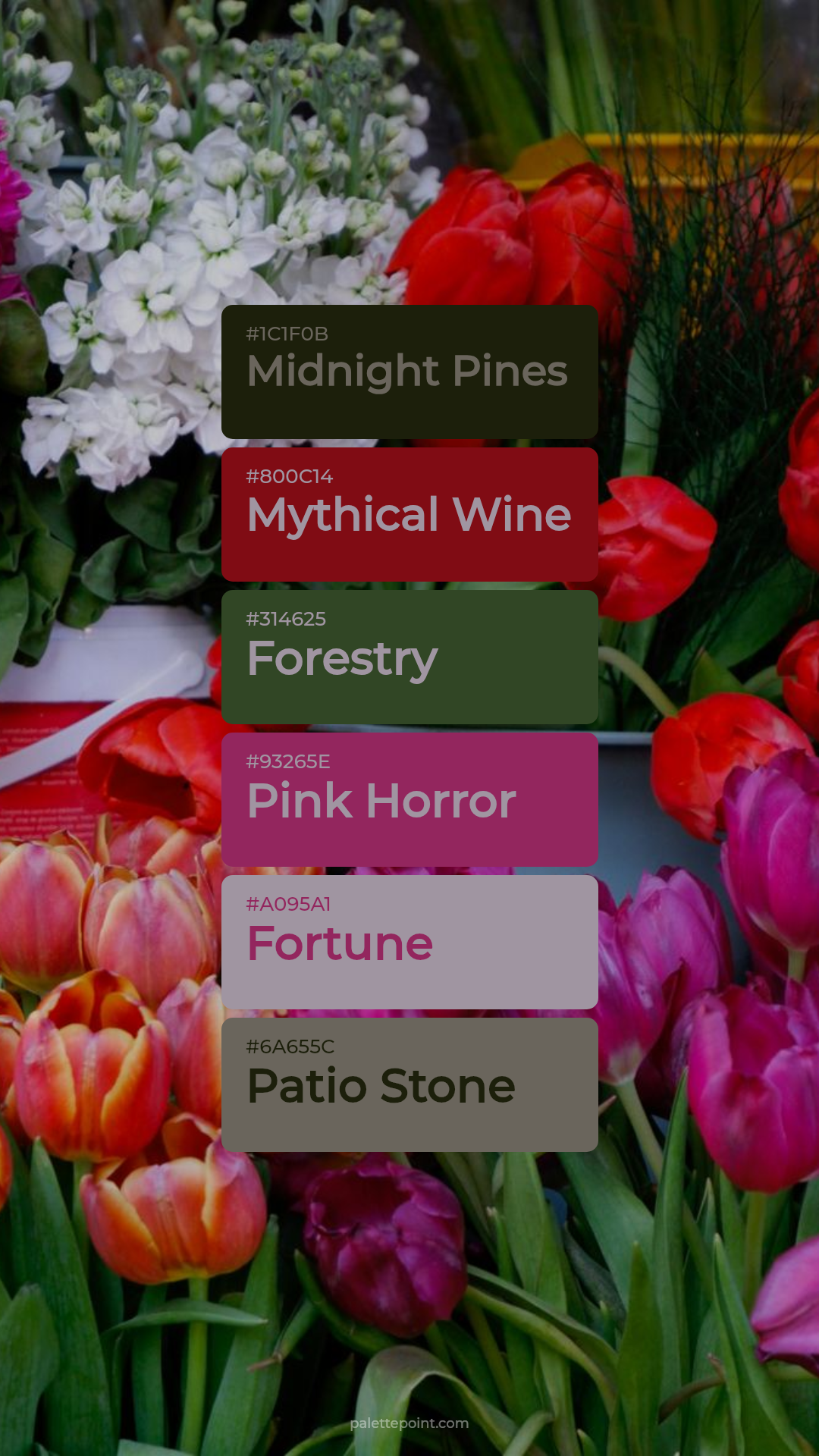 Midnight Pines Mood palette card
