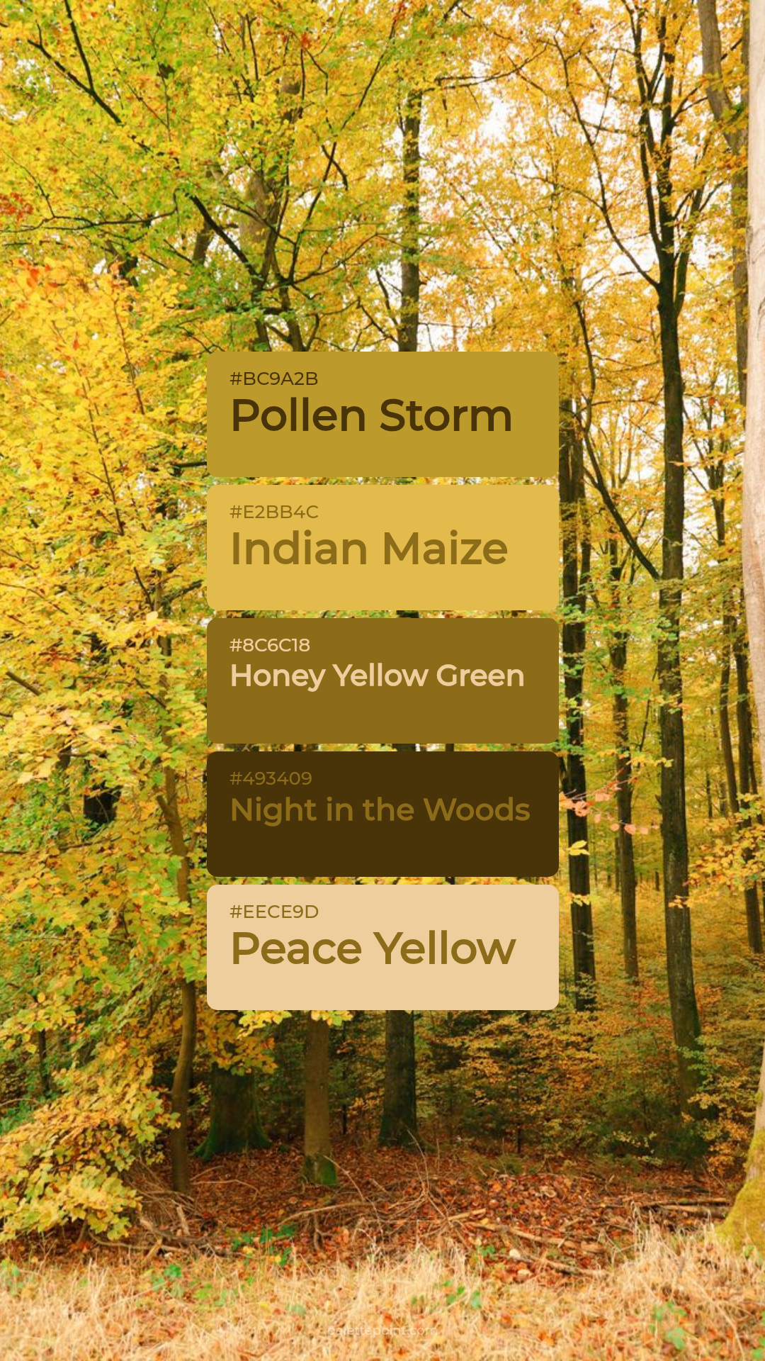 Fresh Collection palette card