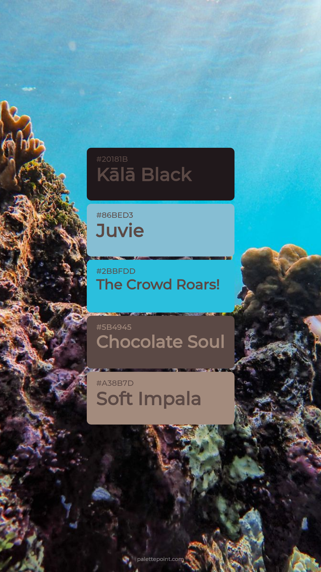 Kālā Black Mood palette card