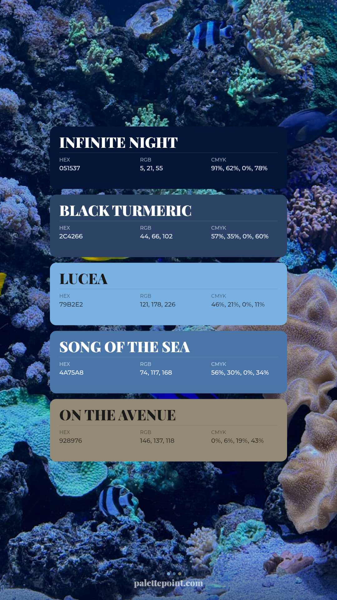 Rustic Infinite Night Palette card