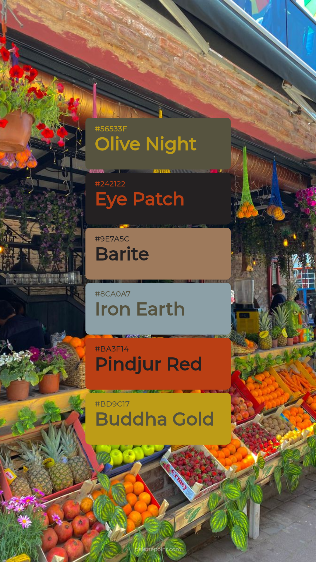Olive Night Canvas palette card