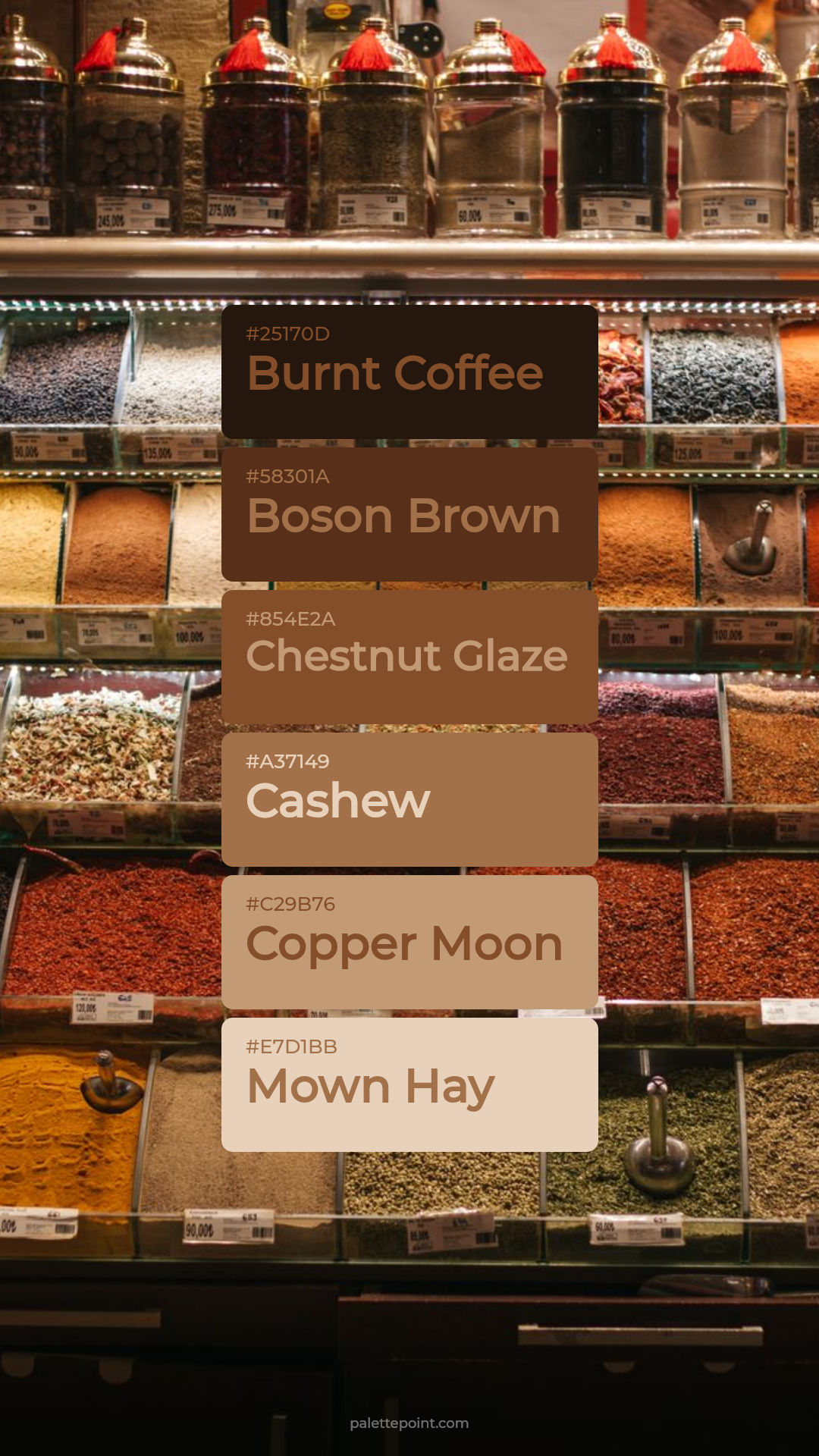 Earthy Burnt Coffee Harmony palette card