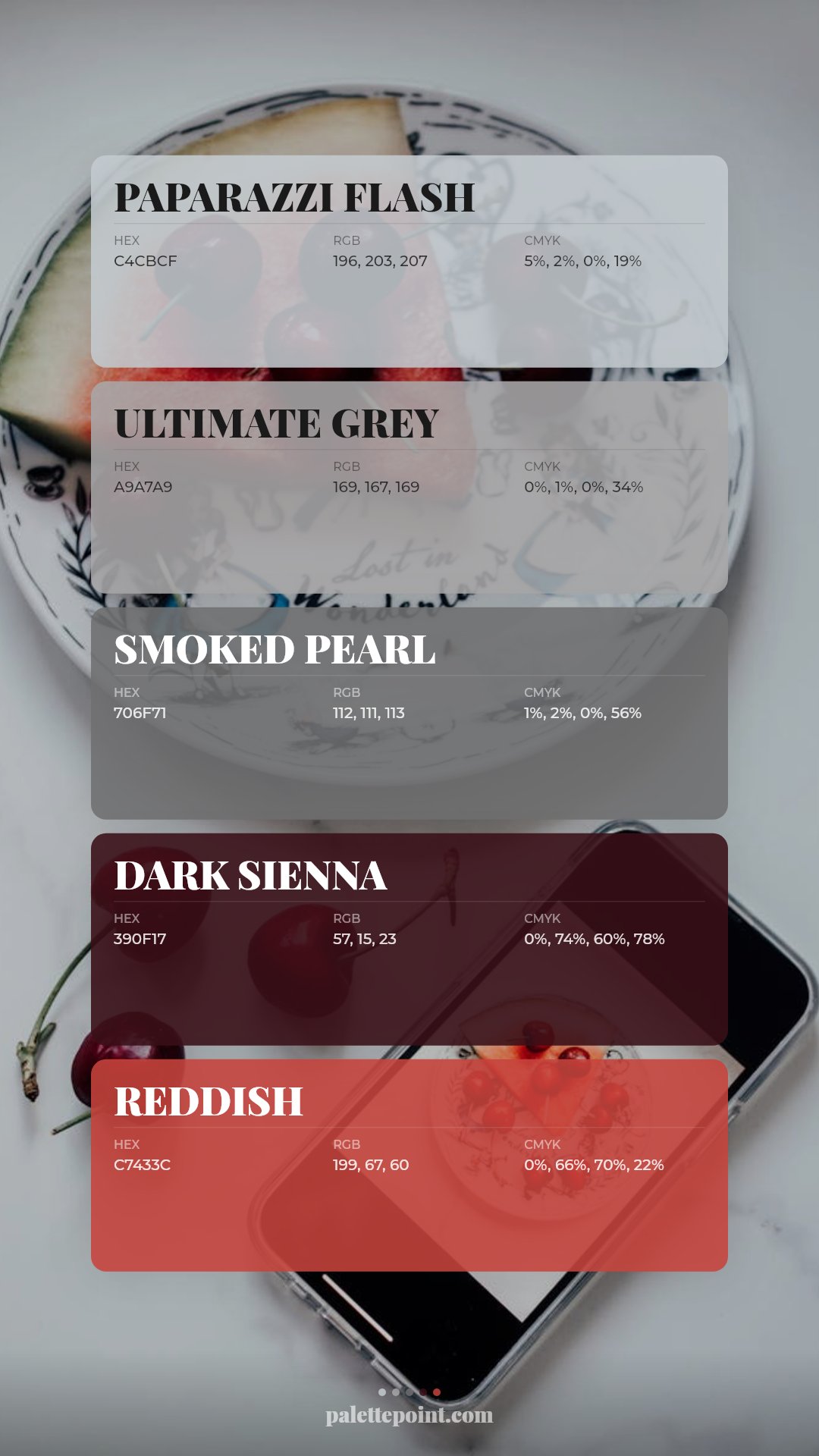 Paparazzi Flash Mood palette card