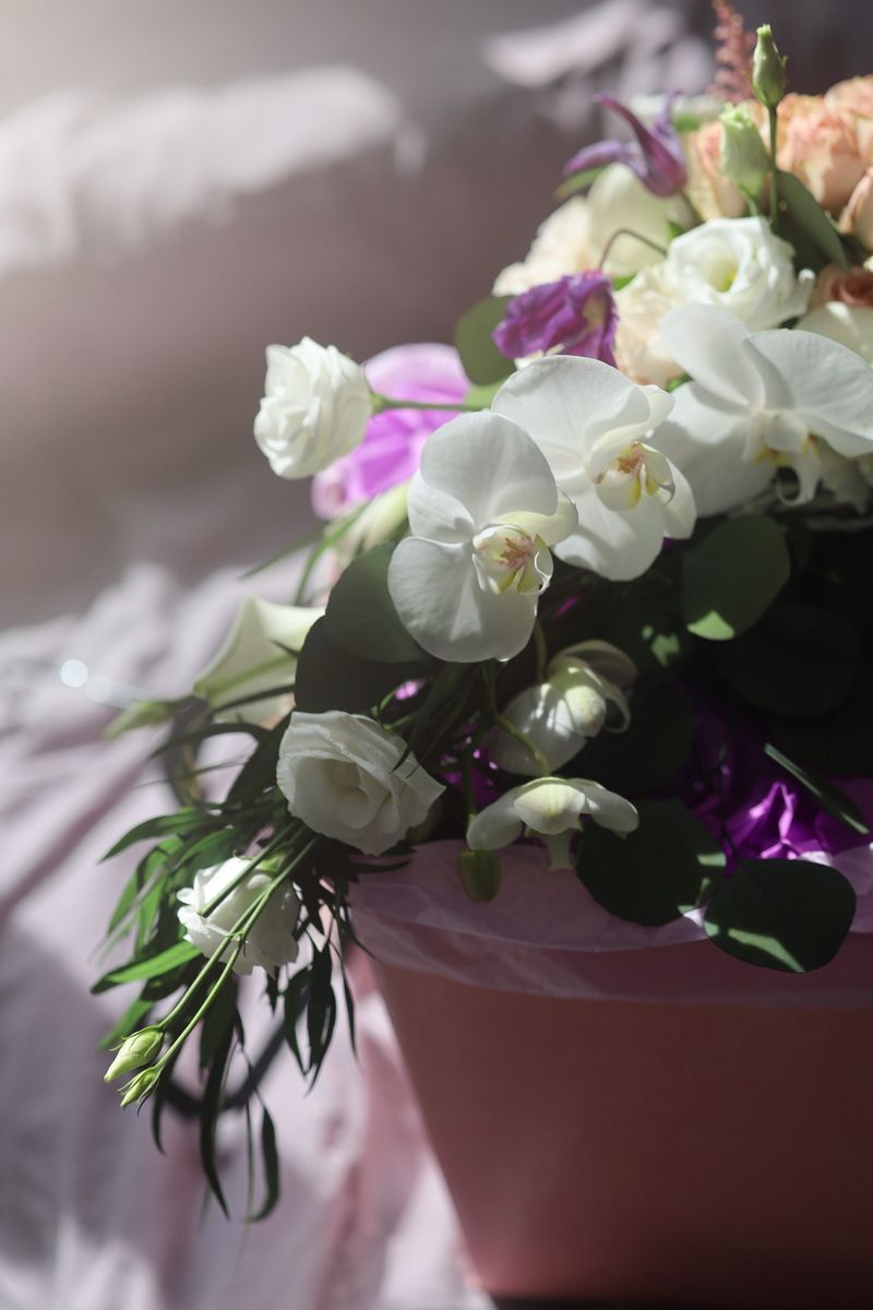 Source for Sultry Spell Harmony