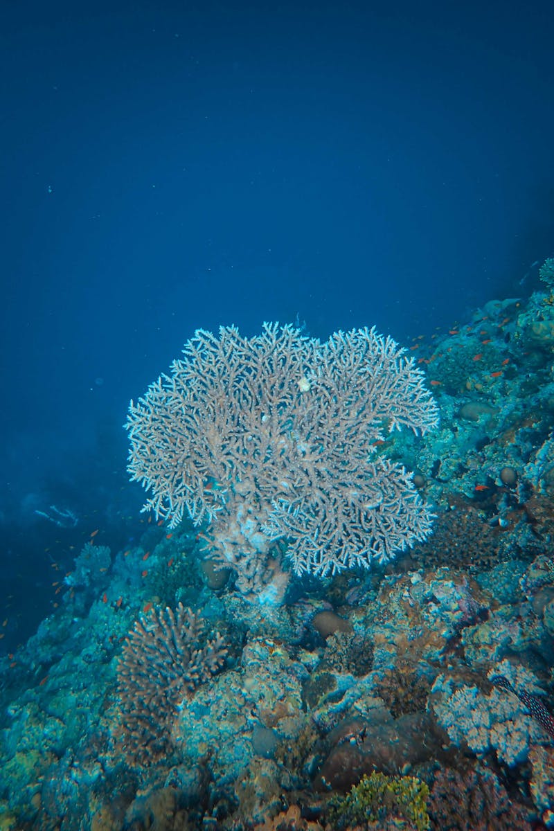 Source for Sea Cave Hues