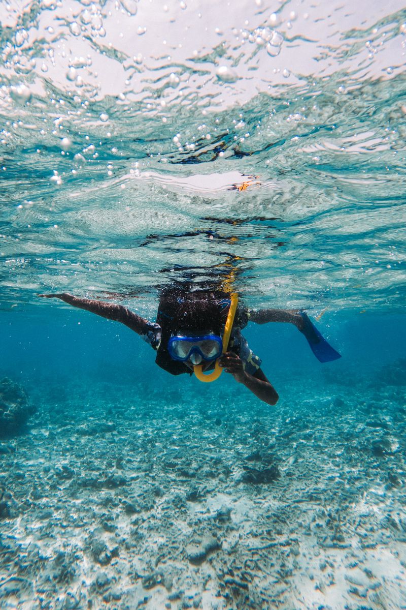 Source for Festoon Aqua Composition