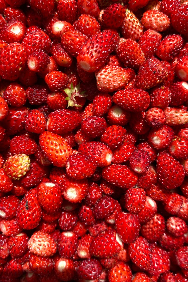 Source for Vivid Red Lust Blend