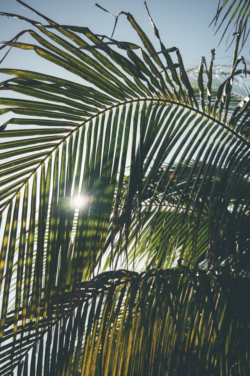 Source for Radiant Aztec Canvas