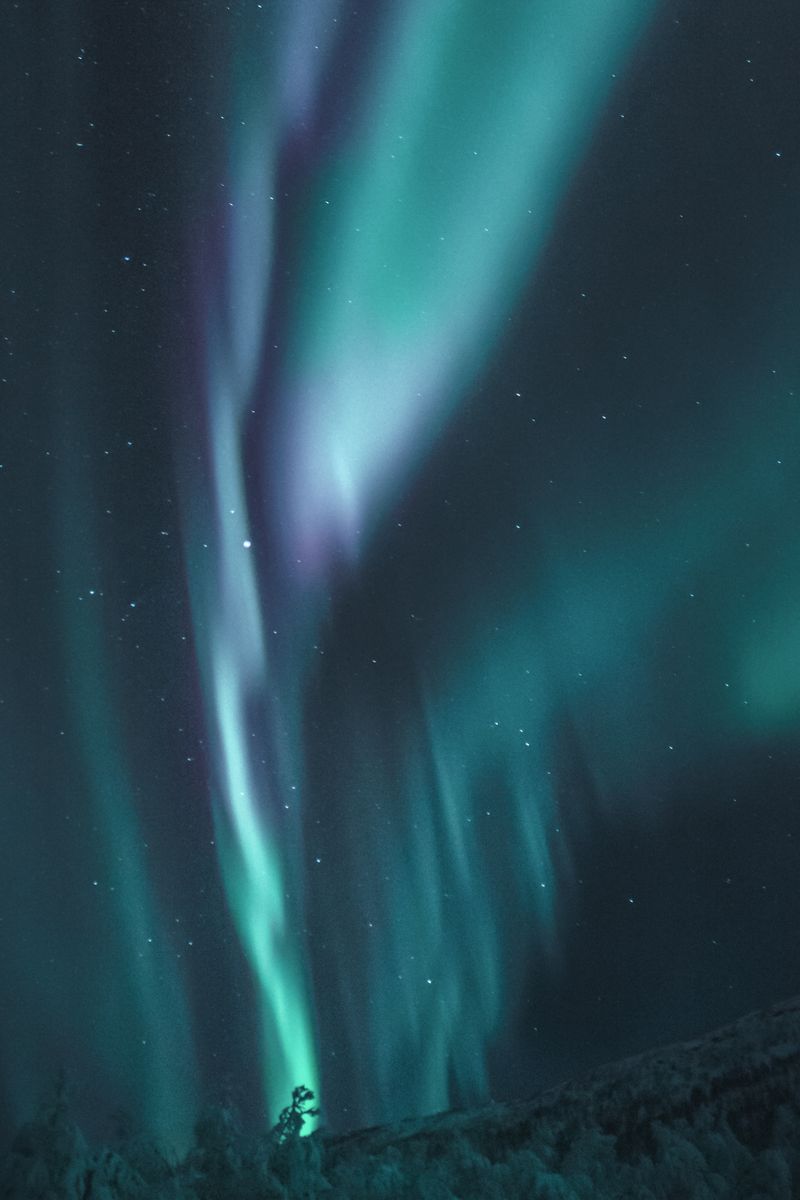 Source for Vibrant Collection