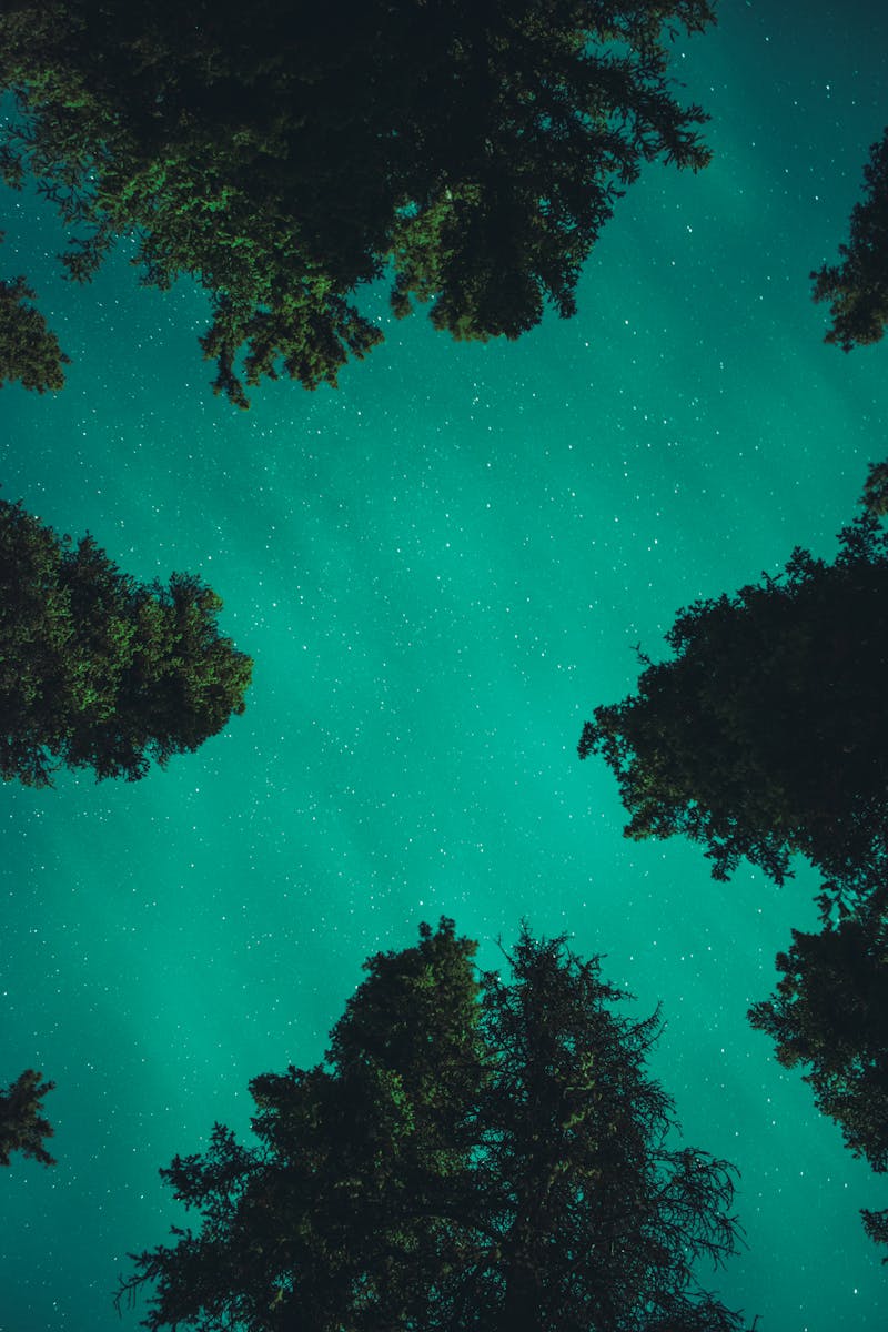 Source for Black Emerald & Brilliant Turquoise