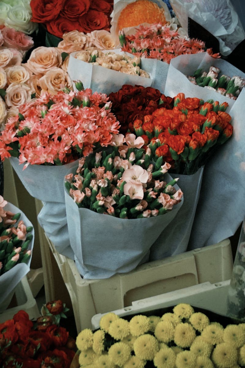 Source for Natural Kenpōzome Black Spectrum