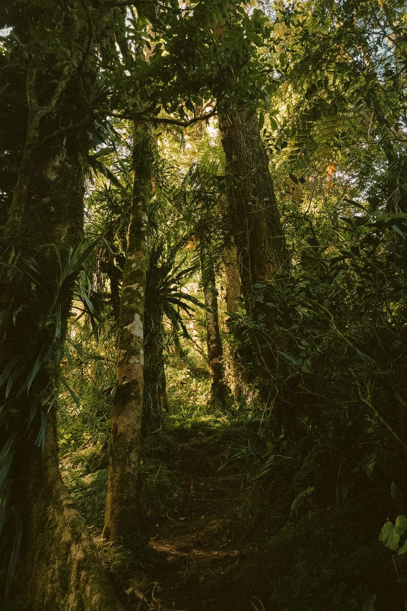 Source for Fresh Palette