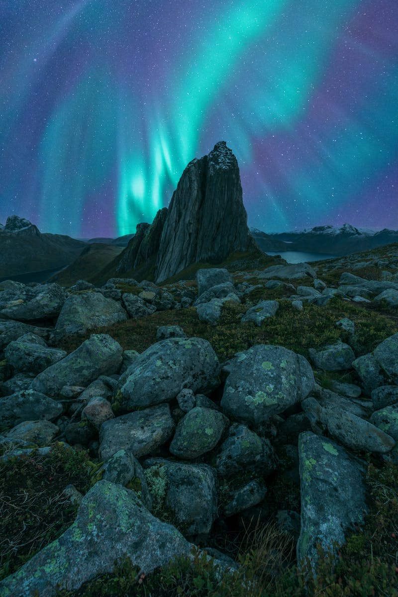 Source for Deep Slate Green & Emerald Forest