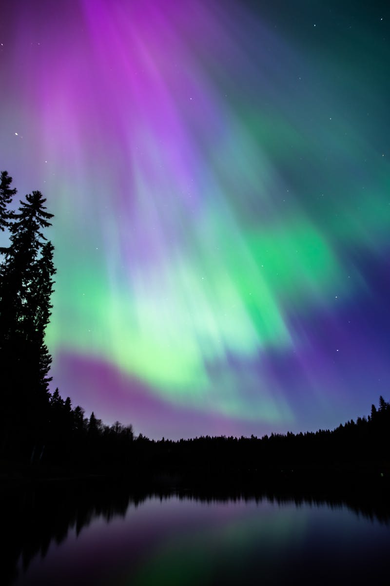 Source for Bold Hues