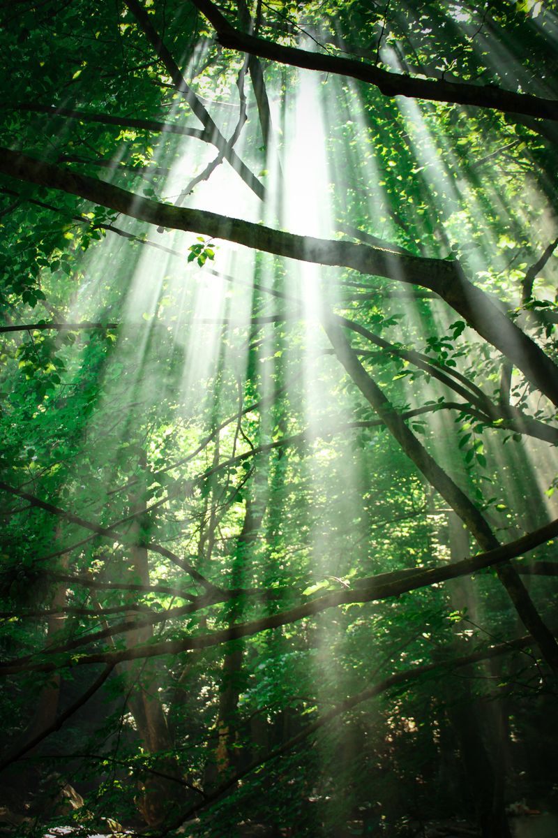 Source for Radiant Spectrum