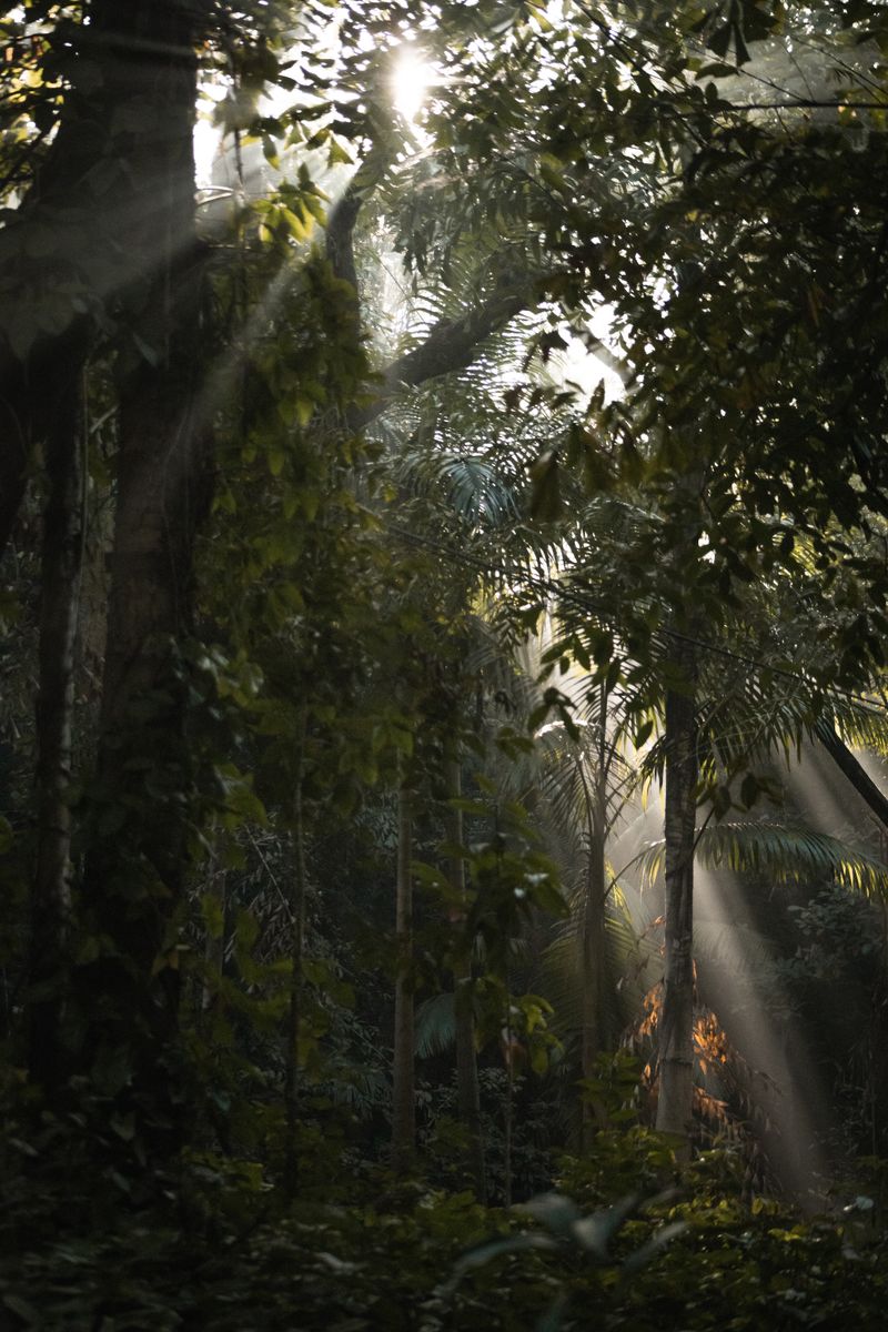 Source for Natural Tones