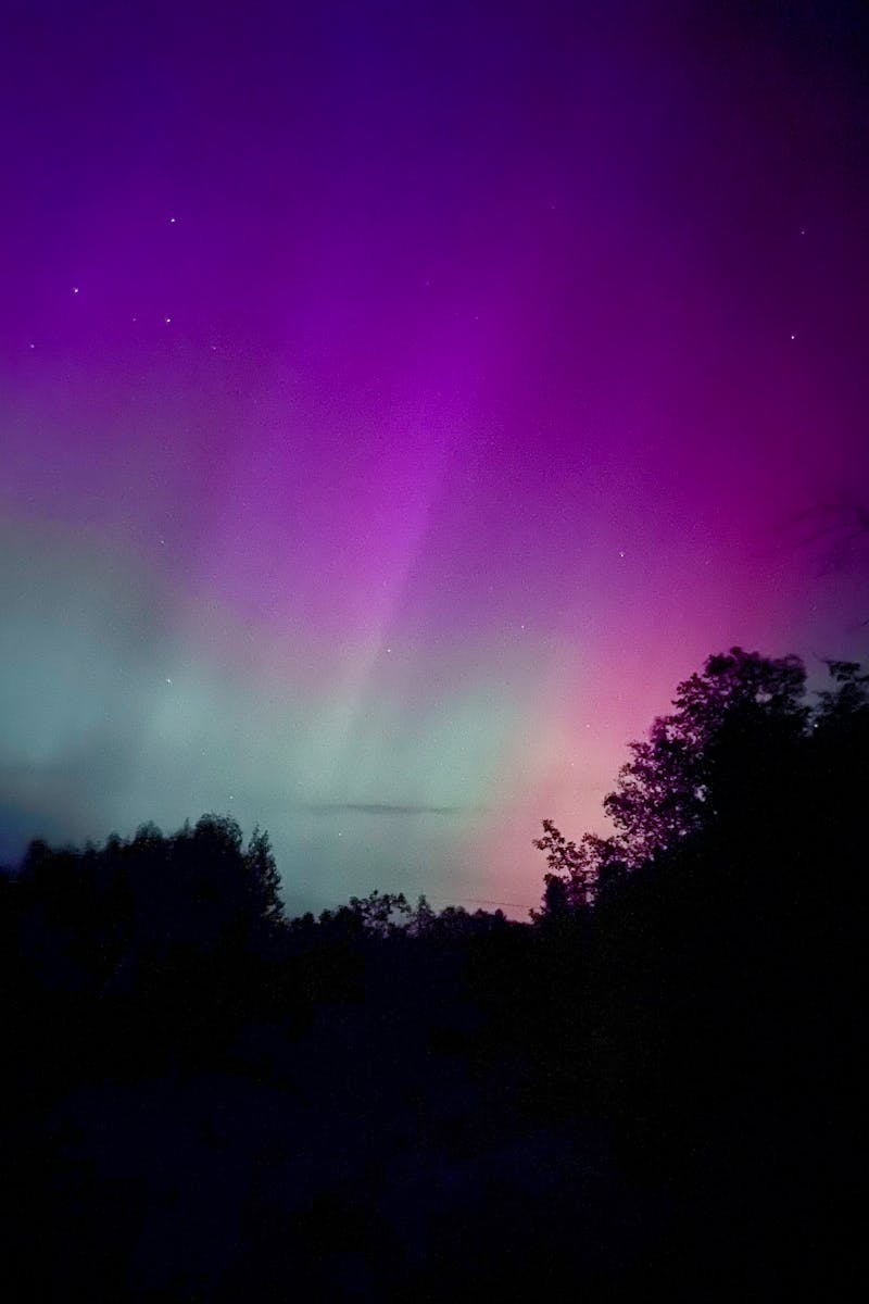 Source for Delicate Peaceful Purple Palette