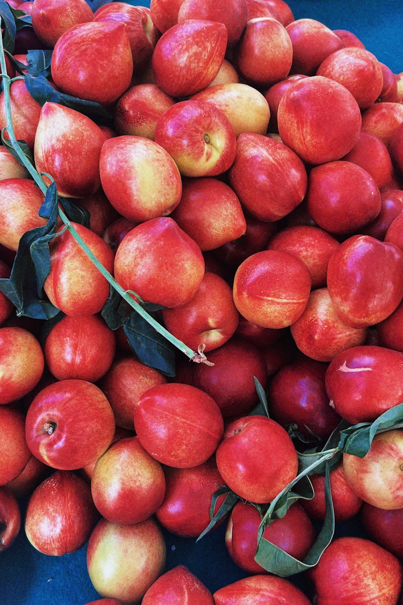 Source for Red Contrast Hues